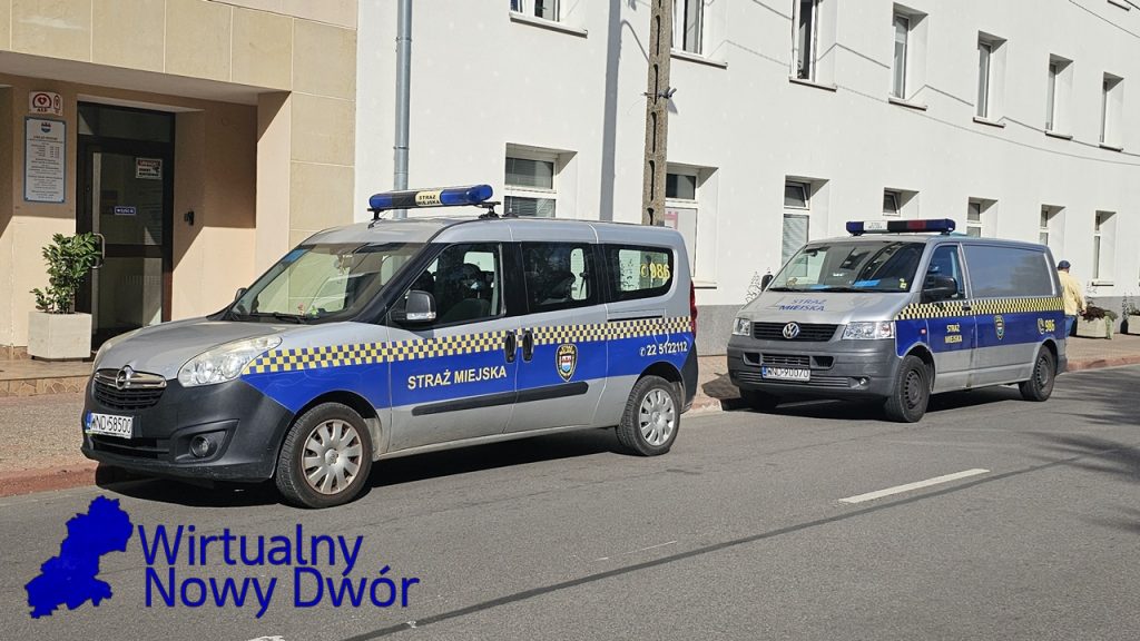 Niebezpieczne zdarzenie na Osiedlu Dębowy Park. Chory dzik odstrzelony