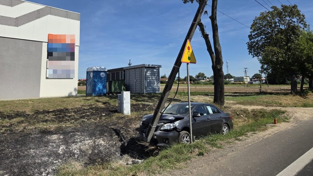 Toyota wjechała do rowu i uderzyła w słup. Doszło do pożaru
