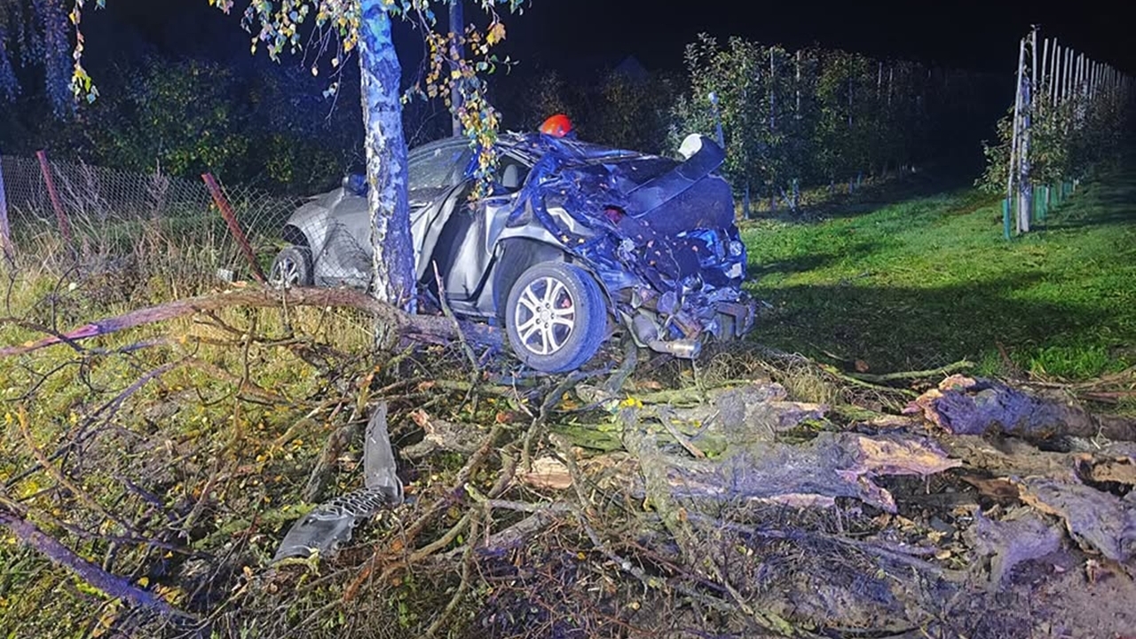 Groźny wypadek na DW577. Samochód roztrzaskał się na ogrodzeniu sadu