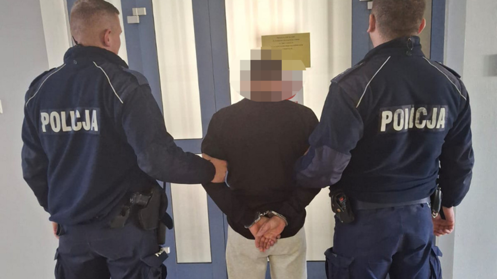 Dwóch nietrzeźwych, kierujących, zatrzymanych przez nowodworskich policjantów – w trybie przyśpieszonym usłyszeli wyrok